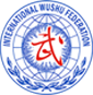 北(běi)京高(gāo)端網站(zhàn)建設公司-國(guó)際武術(shù)聯合會(huì)